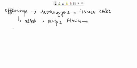 mendel-crossed-purebred-purple-flowered-plants-with-purebred-white-flowered-plants-and-all-of-the-resulting-offspring-produced-purple-flowers-the-offspring-are-all-______-and-the-allele-for-35238