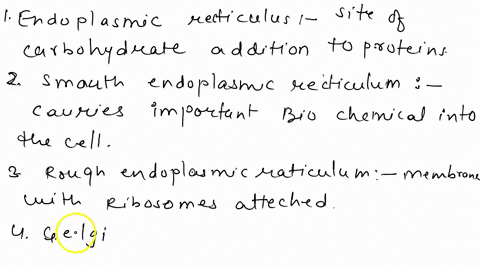 a-endoplasmic-reticulum-_______-b-smooth-endoplasmic-reticulum-________-c-rough-endoplasmic-reticu-4-44829