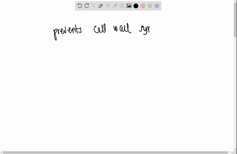 question-51-an-antimicrobial-is-described-as-preventing-alanine-alanine-bridge-formation-this-means-it-interferes-with-cytoplasmic-membrane-synthesis-prevents-cell-wall-synthesis-in-bacteria-37176