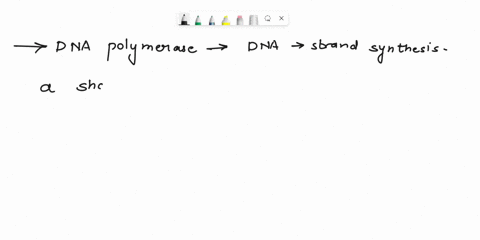 question-16-what-is-required-for-dna-polvmerase-to-nitiate-dna-strand-5wnthesis-a-short-rna-primer-synthesized-bythe-nzyme-iprunal-a-short-dna-primer-synthesized-bv-the-enzvme-frimage-dna-po-51518