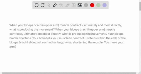 when-your-biceps-brachii-upper-arm-muscle-contracts-ultimately-and-most-directly-what-is-producing-the-movement-when-your-biceps-brachii-upper-arm-muscle-contracts-ultimately-and-most-direct-15358