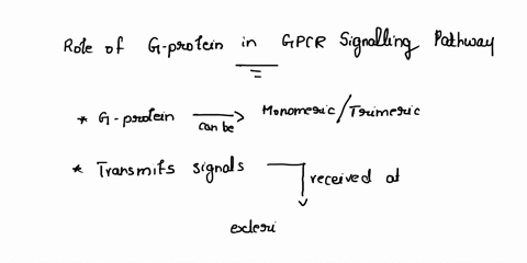 g-protein-coupled-receptors-are-transmembrane-proteins-with-ligand-binding-sites-on-the-extracellular-side-of-the-cell-membrane-what-role-do-g-proteins-play-in-a-gpcr-signaling-pathway-a-g-p-69826