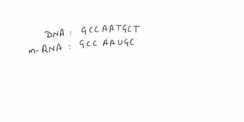 use-the-following-segment-of-dna-to-determine-the-mrna-and-amino-acid-sequence-that-would-form-3-gccaatgct-5-mrna-be-sure-to-show-the-3-and-5-amino-acid-sequence-3-letter-abbreviation-amino-78278