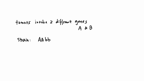 starting-with-population-of-genetically-identical-mice-you-discover-two-new-independent-mutant-strains-in-which-all-the-animals-produce-tumors-at-the-base-of-their-tailsin-both-strains-you-k-18668