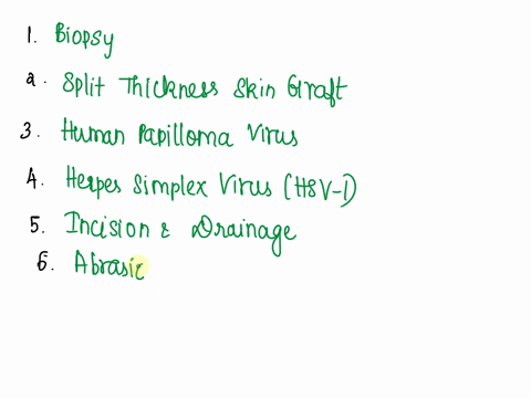 4-instructor-resource-handout8-integumentary-system-abbreviations-and-translation-practice-abbreviations-chapter-4-integumentary-system-1if-paula-had-a-bxshe-had-aan-2-an-stsg-means-that-som-82058