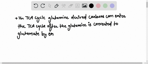 glutamate-is-formed-by-transamination-of-what-tca-cycle-intermediate-this-intermediale-receives-amino-group-and-converted-t0-glulamale-isocitrate-oxaloacetale-succinate-cltrale-u-ketoglutara-23717