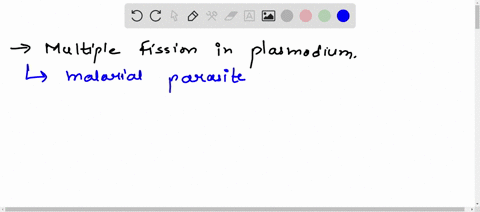 multiple-fission-in-plasmodium-experiment-aim-theory-texhow-to-experiment-multiple-fission-in-plasmodium-tex-73173