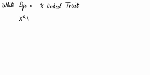 1-consider-the-following-white-eyes-are-inherited-as-an-x-linked-recessive-trait-in-drosophila-what-are-the-expected-phenotypic-ratios-for-the-f1-generation-if-in-the-parental-generation-you-97675