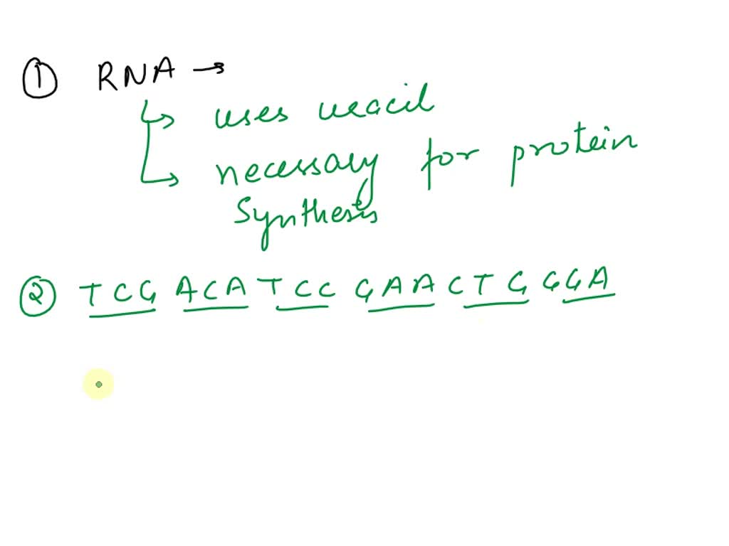 SOLVED RNA contains the nitrogenous base uracil instead of thymine