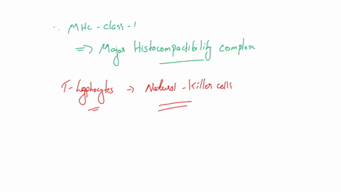 1-identify-the-molecules-involved-in-mhc-class-i-antigen-processing-and-presentation-and-describe-the-steps-involved-in-the-pathway-2-identify-the-molecules-involved-in-mhc-class-ii-antigen-49343