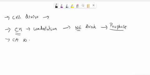 determine-which-phase-of-the-cell-cycle-the-following-events-occur-chromosomes-condense-and-the-nuclear-envelope-breaks-down-choose-choose-chromosomes-duplicate-to-form-sister-anaphase-chrom-41495