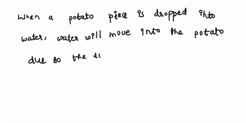 you-determine-the-water-potential-w-of-tissue-in-a-potato-to-be-09-mpa-when-you-drop-this-piece-of-potato-into-a-beaker-of-water-what-will-happen-if-the-osmotic-potential-of-the-potato-cells-68894