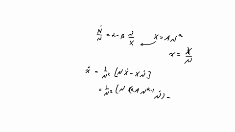 10-let-nnt-denote-the-size-of-a-certain-population-xxt-the-total-product-and-xtxt-nt-the-product-per-capita-at-time-t-t-haavelmo-1954-studied-the-model-described-by-the-equations-i-fracdotnnalpha-beta