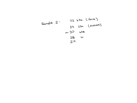 2-suppose-you-did-sds-page-for-5-unknown-proteins-and-got-the-following-results-kda-170-130-95-72-65-43-34-26-what-is-the-molecular-weight-of-protein-in-sample-22-explain-which-protein-has-h-25682