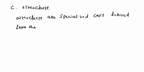 the-cells-responsible-for-dissolving-the-bone-matrix-are-a-osteons-b-osteocytes-c-osteoclasts-d-osteoblast-85988
