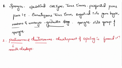 animal-diversity-i-porifera-cnidaria_-platyhelminthesmoll-reviewing-your-knowledge-what-are-the-characteristics-of-sponges-that-have-led-scientists-to-classify-them-in-group-separate-from-th-63117