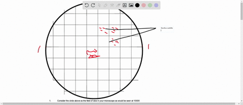 consider-the-circle-above-as-the-field-of-view-in-your-microscope-as-would-be-seen-at-1000x-magnification-the-diameter-of-the-field-of-view-is-180pm-making-each-square-about-20pm-on-an-side-07252