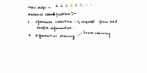 The steps for the preparation of growing bacterial cells on...
