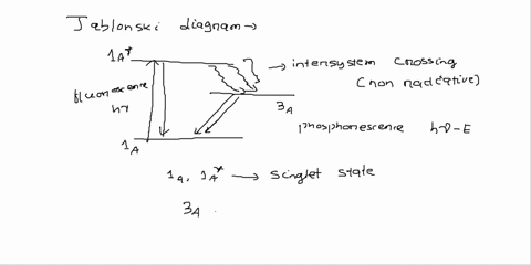 draw-the-jablonski-diagram-and-explain-the-fates-of-molecules-in-excited-states-50758