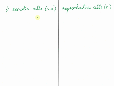 how-are-cells-that-go-through-meiosis-different-than-regular-body-cells-97216