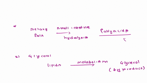 question-poitily-each-oxidation-during-fatty-acid-catabolism-directly-produces-one-molecule-of-acid-molecule-that-has-been-shortened-by-carbon-atoms-and-fatty-acetyl-scoa-two-2-coz-three-3-a-60895