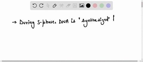 the-term-s-phase-refers-to-a-dna-synthesis-during-interphase-b-synthesis-of-chromosome-proteins-du-2-68803