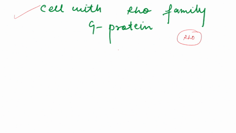 ifyou-treat-cells-with-signals-that-activate-rho-family-g-proteins-how-will-the-cell-respond-actin-filaments-will-rearrange_-microtubules-will-stabilize-gene-expression-will-be-activated-int-60017