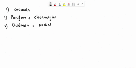 complcte-thc-following-charactcristic-s-thc-anitnal-phylogenctic-trcc-labcl-cach-numbered-bur-with-the-irait-that-charctcnstic-orlc-incite-he-mumheredtblanke-bclow-give-you-more-room-for-thi-28575