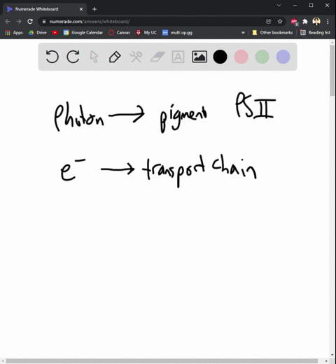 put-the-following-events-of-photosynthesis-in-order-1-energy-from-atp-electrons-from-nadph-and-a-carbon-compound-made-from-fixation-combine-to-form-high-energy-g3p-that-can-be-used-to-produc-99913