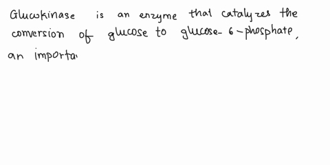1-which-of-the-following-enzyme-is-not-involved-in-galactose-metabolism-a-glucokinase-b-galactokinase-c-galactose-1-phosphate-uridyl-transferase-d-udp-galactose-l-epimerase-73726