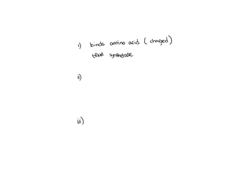 protein-synthesis-employs-trna-molecules-as-cofactors-in-the-process_-the-image-shows-the-common-2-d-model-of-_-trna-the-following-questions-match-the-letters-identified-in-the-image_-i-expl-92844