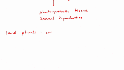 which-is-not-a-trait-shared-by-freshwater-green-algae-and-plants-a-cellulose-cell-walls-b-chlorophyl-10846