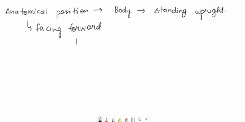 language-ofanatomy-upon-completion-of-exercise-1-be-able-to-describe-the-position-of-the-body-when-in-anatomical-position-identify-anterior-and-posterior-body-landmarks-c-describe-the-relati-26816
