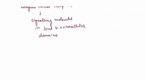 one-of-the-major-categories-of-cell-surface-receptors-reacts-by-forming-dimers-phosphorylating-itself-and-then-activating-subsequent-relay-proteins-in-a-signal-transduction-pathway-which-of-20118