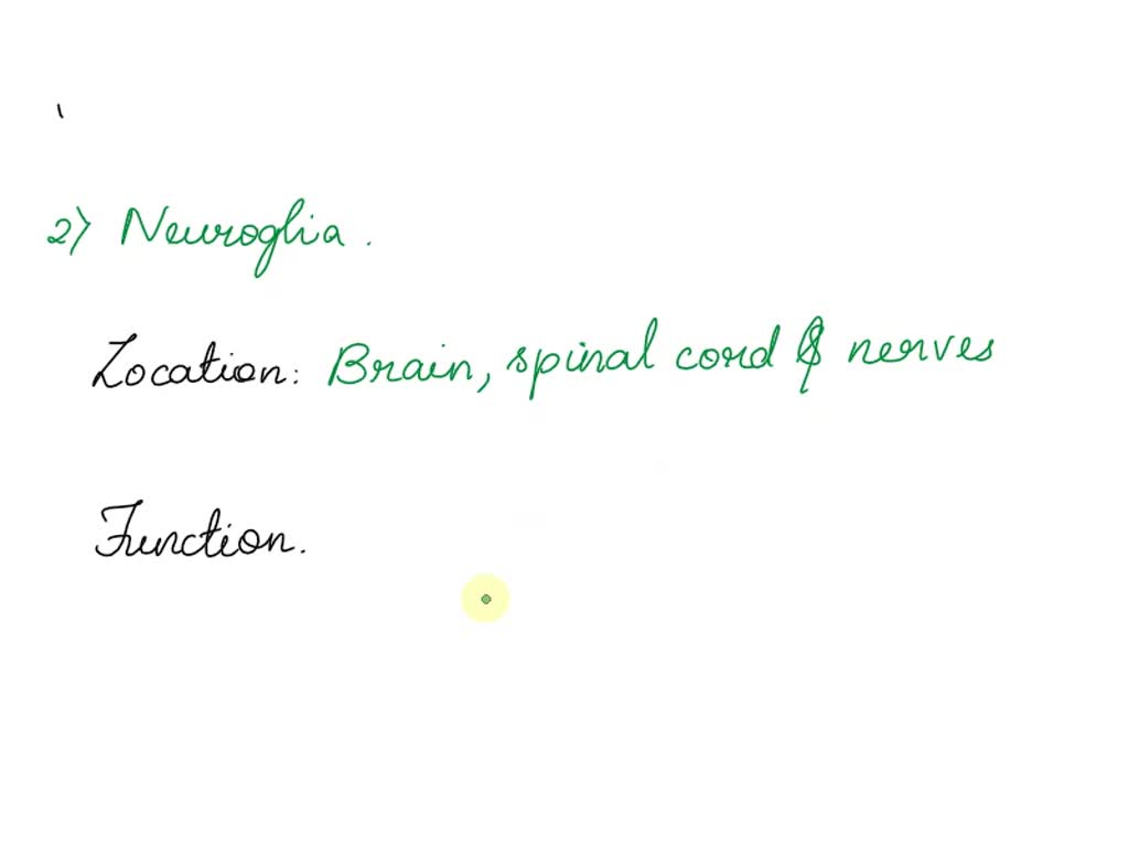 SOLVED: Lab-3 Histology Art-Labeling Activity: Structure of Nervous