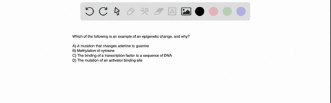 which-of-the-following-is-an-example-of-an-epigenetic-change-and-why-aa-mutation-that-changes-adenine-to-guanine-bmethylation-of-cytosine-cthe-binding-of-a-transcription-factor-to-a-sequence-03428