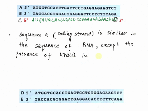 procedure-below-are-dna-strunds-with-their-polarity-noted-rna-polymerasc-transcribes-dna-making-new-strand-of-rna-stat-transcription-the-end-of-the-molecule-and-transcribc-strand-b-to-makc-r-35863