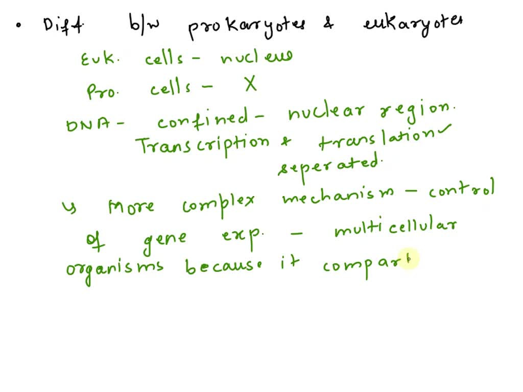 SOLVED: Name two differences between prokaryotic and eukaryotic cells ...