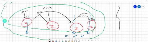 a-causes-electrons-to-become-stuck-to-so-that-they-are-unable-038-the-antibiotic-antimycin-iv-which-of-the-following-scenarios-you-explored-in-this-tutorial-is-most-to-ever-reach-complex-sim-43692