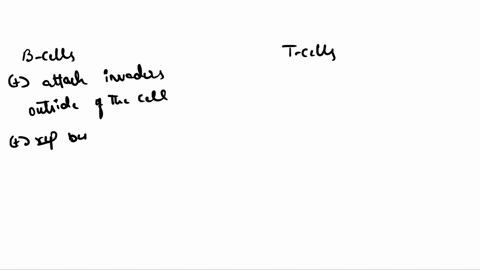 what-is-the-major-functional-difference-between-b-cells-and-t-cells-t-cells-are-innate-response-cells-while-b-cells-are-adaptive-b-trick-question-they-do-exactly-the-same-job-t-cells-attack-07727