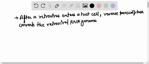 45-what-is-the-function-of-reverse-transcriptase-in-retroviruses-a-it-hydrolyzes-the-host-cells-dna-b-it-uses-viral-rna-as-a-template-for-dna-synthesis-c-it-converts-host-cell-rna-into-viral-70979