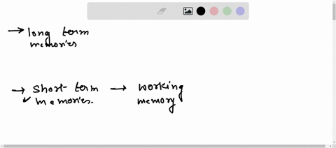 what-is-the-difference-between-long-and-short-term-memory-and-how-are-long-term-memories-formed-31209