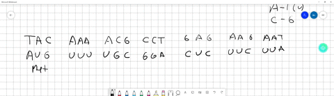 1-write-the-mrna-sequence-and-amino-acid-sequence-made-from-the-following-dna-strand-using-the-genetic-code-table-tac-aaa-acg-cct-gag-aag-aat-2-write-the-effects-on-mrna-and-amino-acid-seque-37458