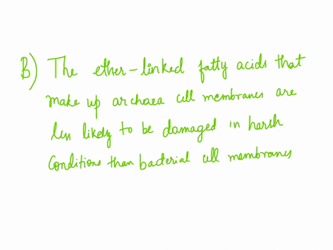 why-are-archaea-more-likely-to-be-able-to-live-in-extremely-harsh-environments-than-bacteria-athe-proteins-that-make-up-the-archaea-cell-walls-are-tougher-than-the-peptidoglycan-of-which-bac-23591