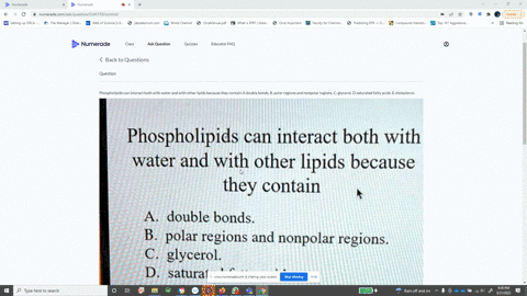 phospholipids-can-interact-both-with-water-and-with-other-lipids-because-they-contain-a-double-bonds-b-polar-regions-and-nonpolar-regions-c-glycerol-d-saturated-fatty-acids-e-cholesterol-13457