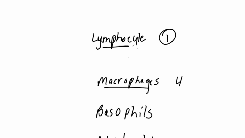 question-11-5-points-match-the-following-white-blood-cell-to-its-purpose-lymphocyte-square-square-macrophages-square-basophils-neutrophils-square-eosinophils-1-cells-involved-in-specific-immunity-2-in