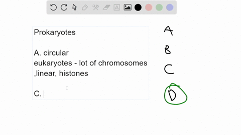 question-which-of-the-following-statements-regarding-prokaryotes-is-true-prokaryotic-chromosomes-are-less-complex-than-those-of-eukaryotes-most-prokaryotes-reproduce-by-binary-fission_-proka-67322