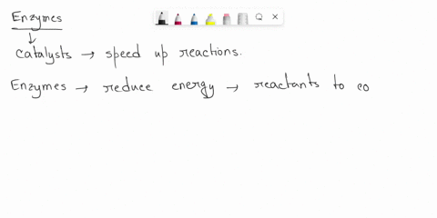 enzymes-speed-up-reactions-by-a-providing-chemical-energy-to-fuel-a-reaction-b-lowering-the-activati-39113