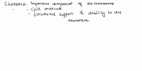 cholesterol-is-an-essential-component-of-cell-membranes-true-false-15298