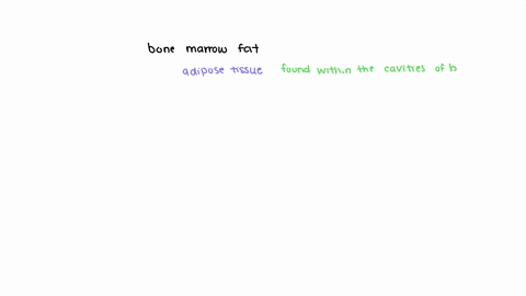 what-type-of-tissues-is-bone-fat